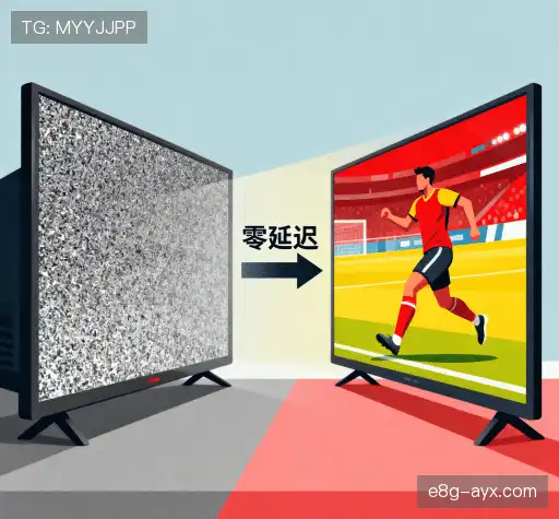 选择我们的理由